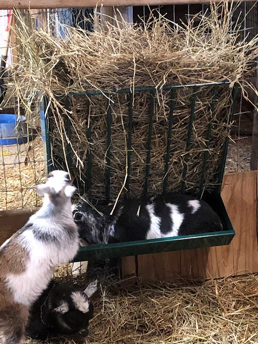 Heavy-duty metal Sheep Hay Feeder with integrated trough for clean, organised feeding