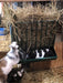 Heavy-duty metal Sheep Hay Feeder with integrated trough for clean, organised feeding