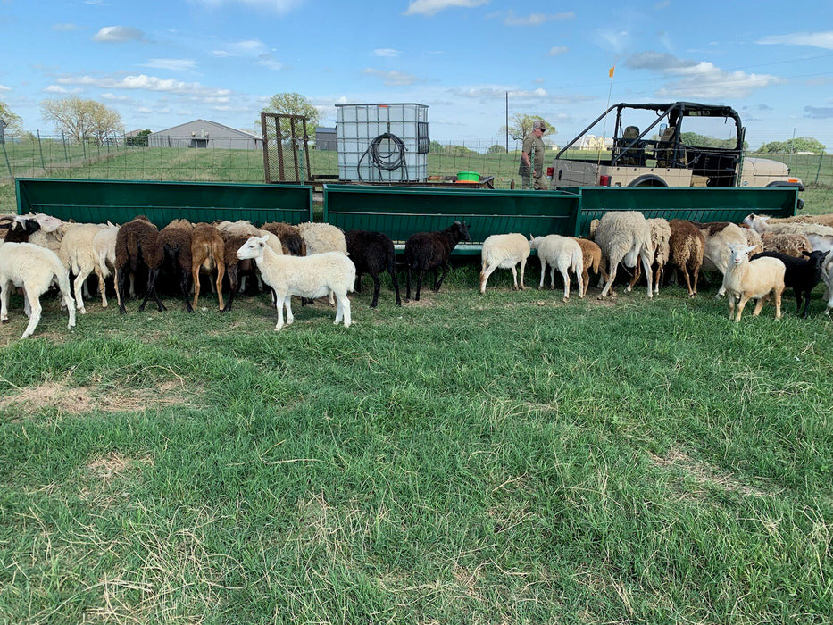 Premium Goat Hay Feeder with Elevated Design to Keep Feed Clean and Dry