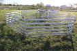 Complete Sheep Handling System Offering Smooth Animal Flow and Stress-Free Handling