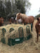 Professional Round Bale Hay Feeder – Lakeland heavy-duty design built for easy cattle access and longevity
