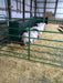High-Capacity Sheep Fence Line Feeder Perfect for Farm and Pasture Use