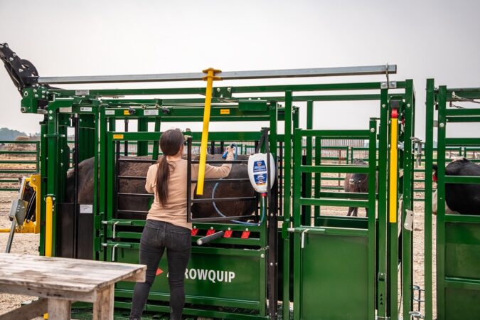 Arrowlock 55 Series Cattle Chute