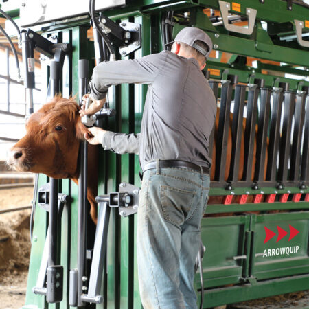 The General Hydraulic Cattle Chute