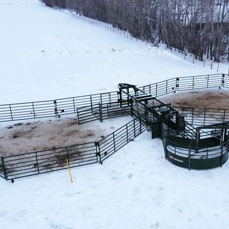 The Heeler Portable Corral