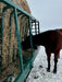 Lakeland Square Bale Horse Feeder – strong steel construction ensuring safety and durability for daily equine use