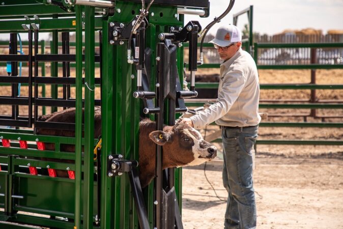 Powerlock 108 Series Hydraulic Cattle Chute