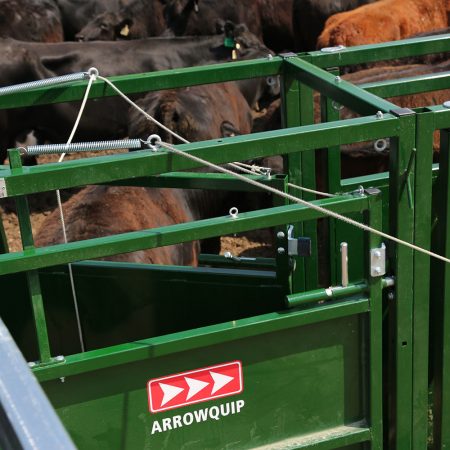 Cattle Sorting Alley