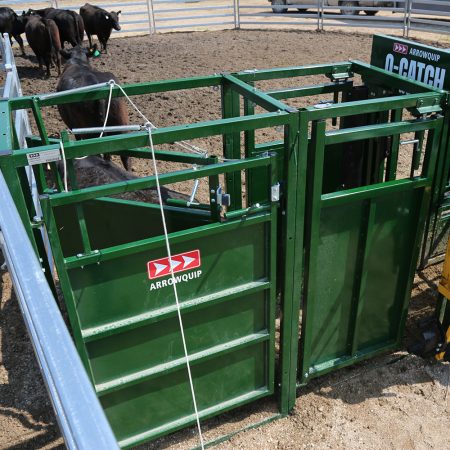 Cattle Sorting Alley