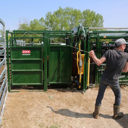 Cattle Sorting Alley